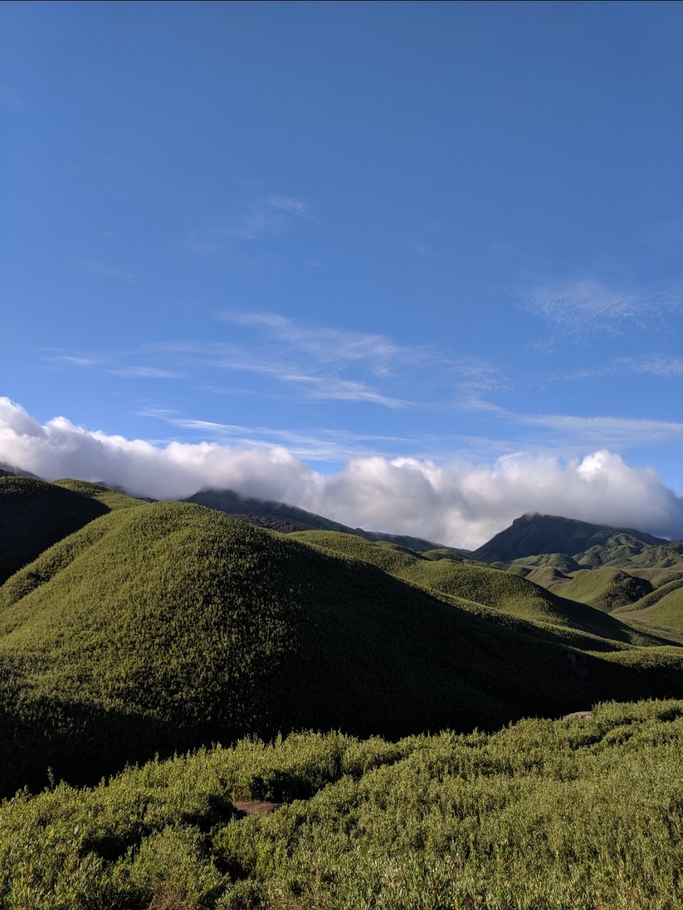 Photo of Dzukou valley trek in Nagaland by Rohith