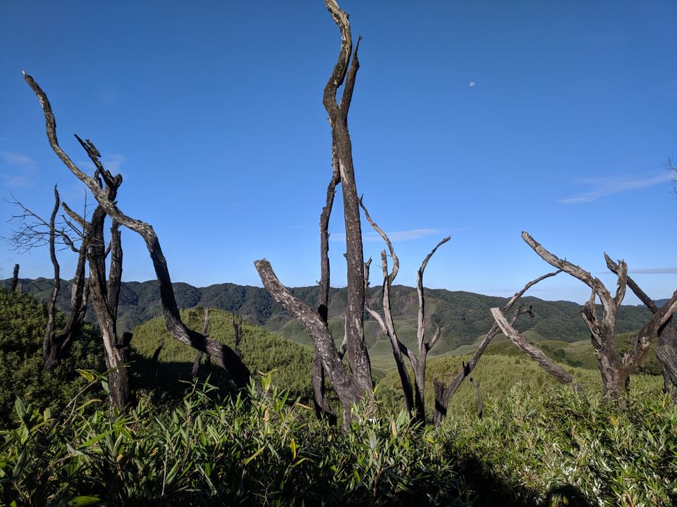 Photo of Dzukou valley trek in Nagaland by Rohith