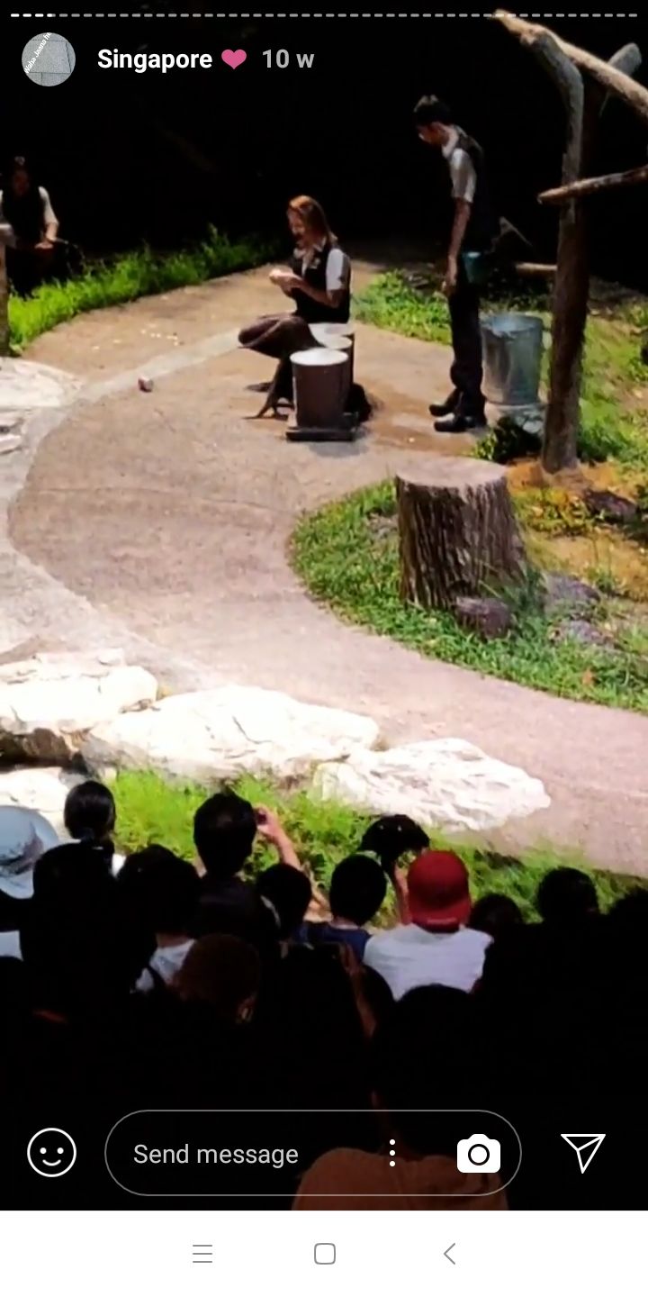 Photo of Top 5 excursions in Singapore worth every single penny you spend !! by SAGAR DHAMIJA