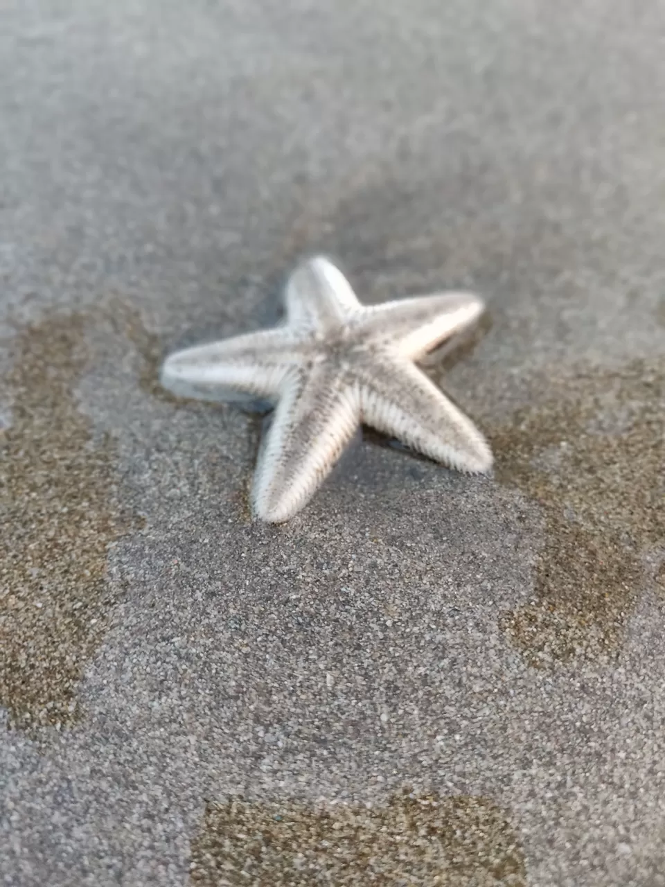 Photo of Malvan, Maharashtra, India by sravya chowdary