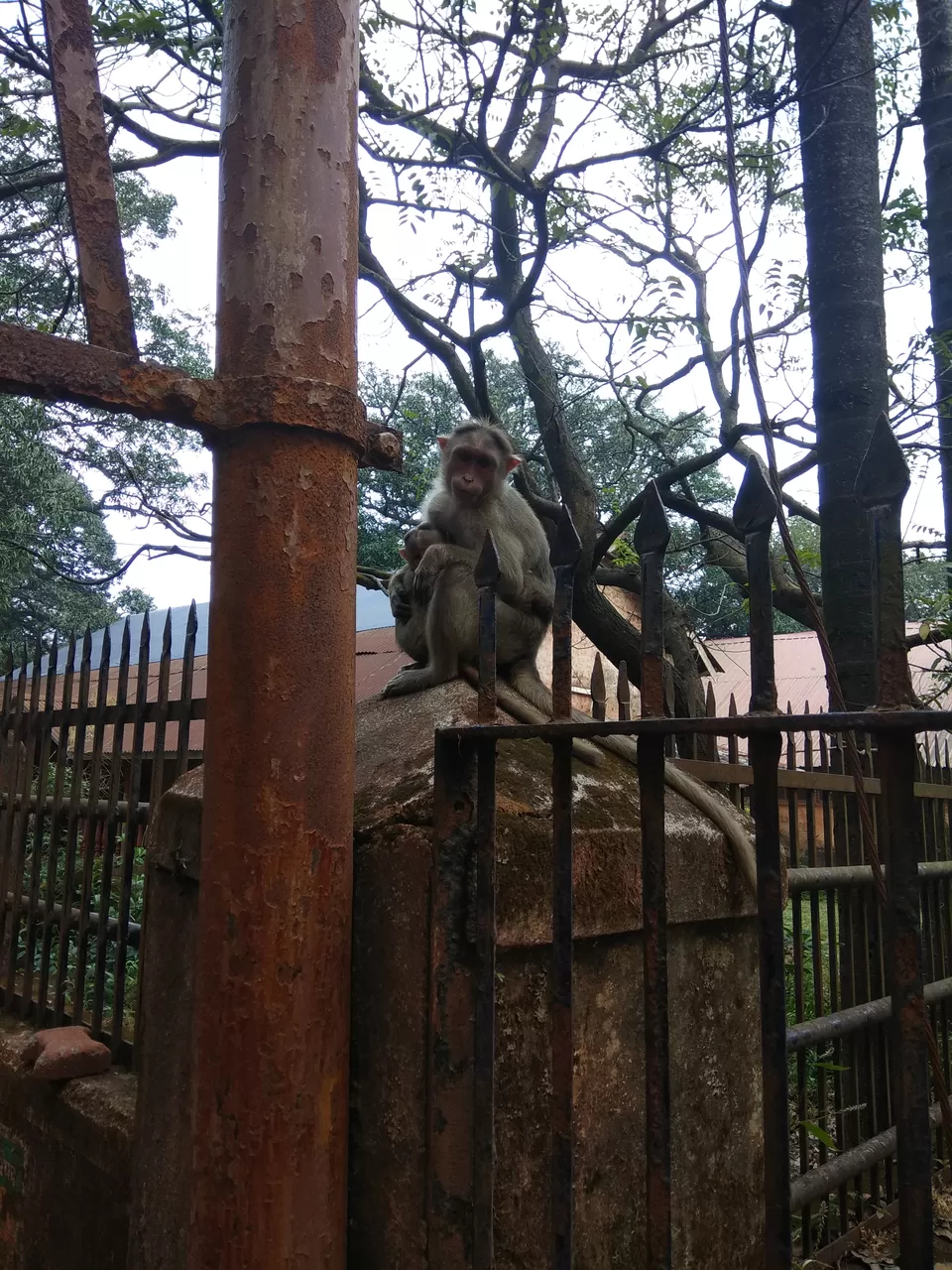 Photo of Matheran, Maharashtra, India by Koyel Chakraborty