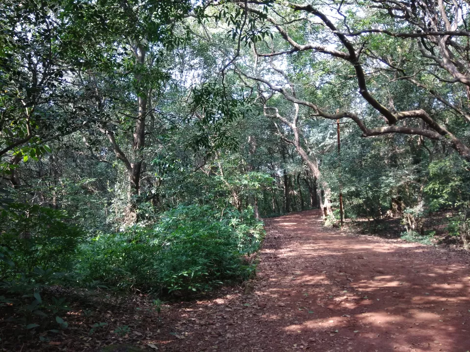 Photo of Matheran, Maharashtra, India by Koyel Chakraborty