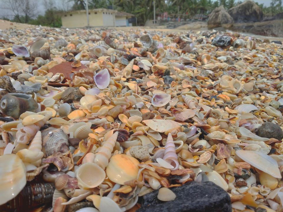 Photo of Udupi - The Lazy Coastal Town 17/21 by Yash Kumar Rajora