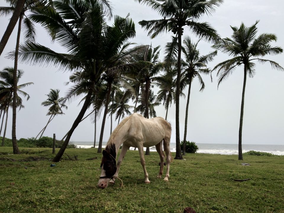 Photo of Udupi - The Lazy Coastal Town 15/21 by Yash Kumar Rajora