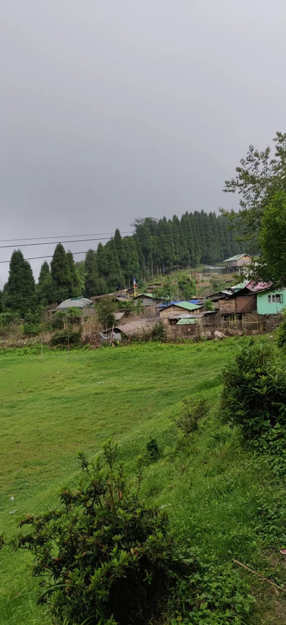 Photo of Darjeeling- West Bengal- tarey bhir- kalimpong by Anupriya Ranjan