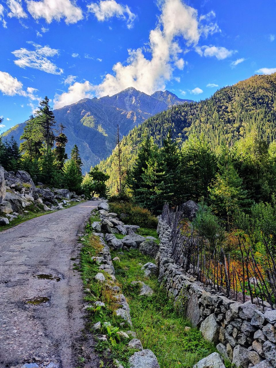 Photo of Rakchham, Himachal Pradesh, India by Sukhpal Singh