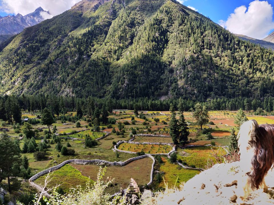 Photo of Rakchham, Himachal Pradesh, India by Sukhpal Singh