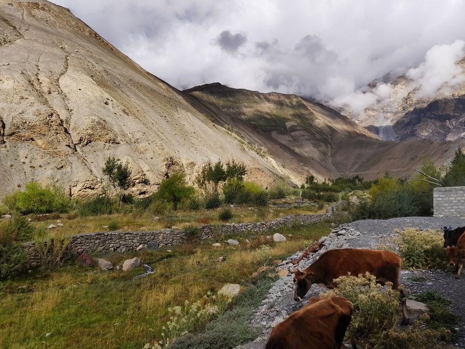 Photo of Chango, Himachal Pradesh, India by Sukhpal Singh