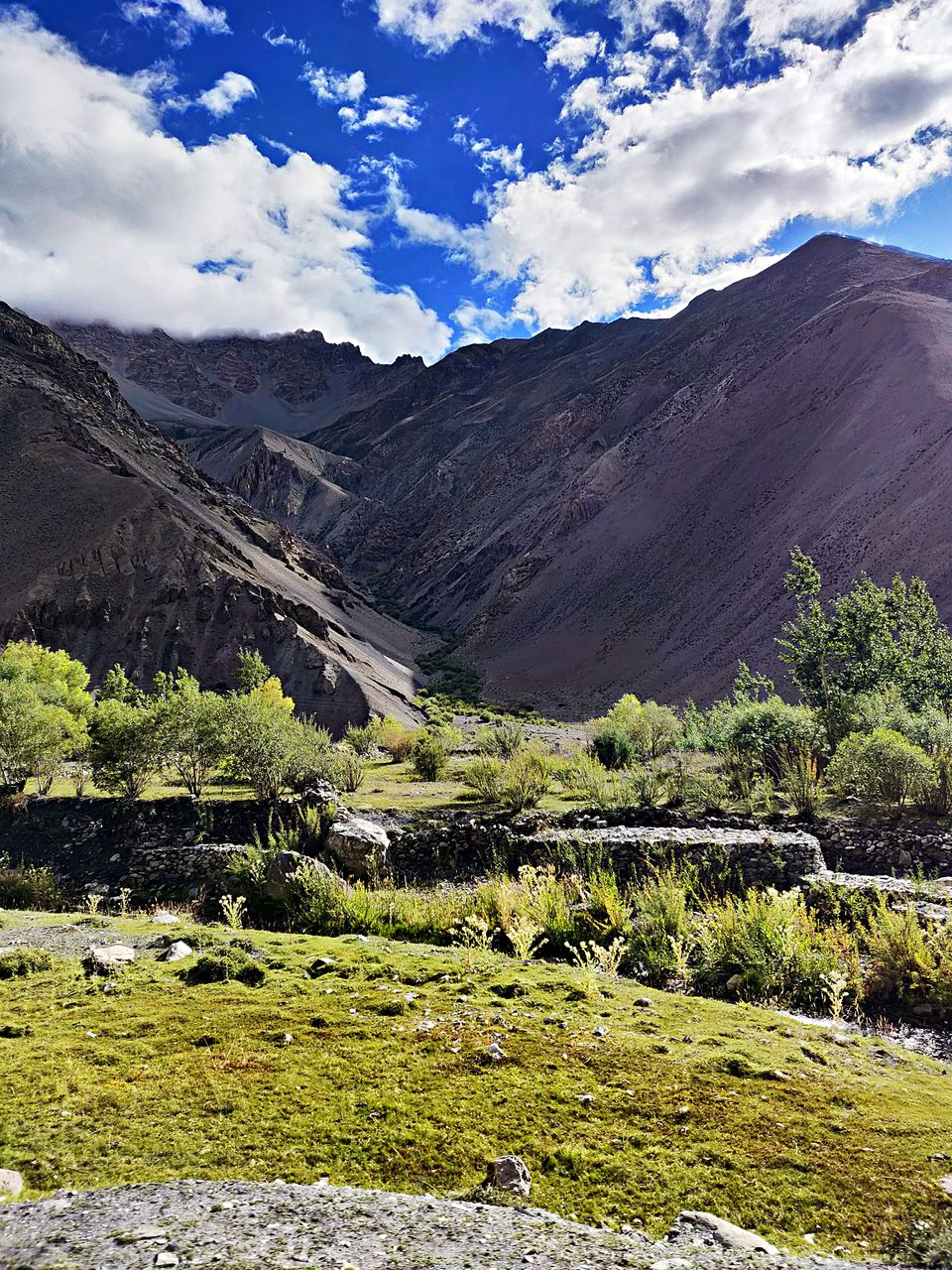 Photo of Chango, Himachal Pradesh, India by Sukhpal Singh