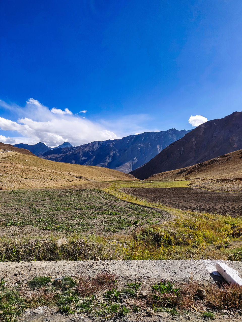 Photo of Kibber, Himachal Pradesh, India by Sukhpal Singh