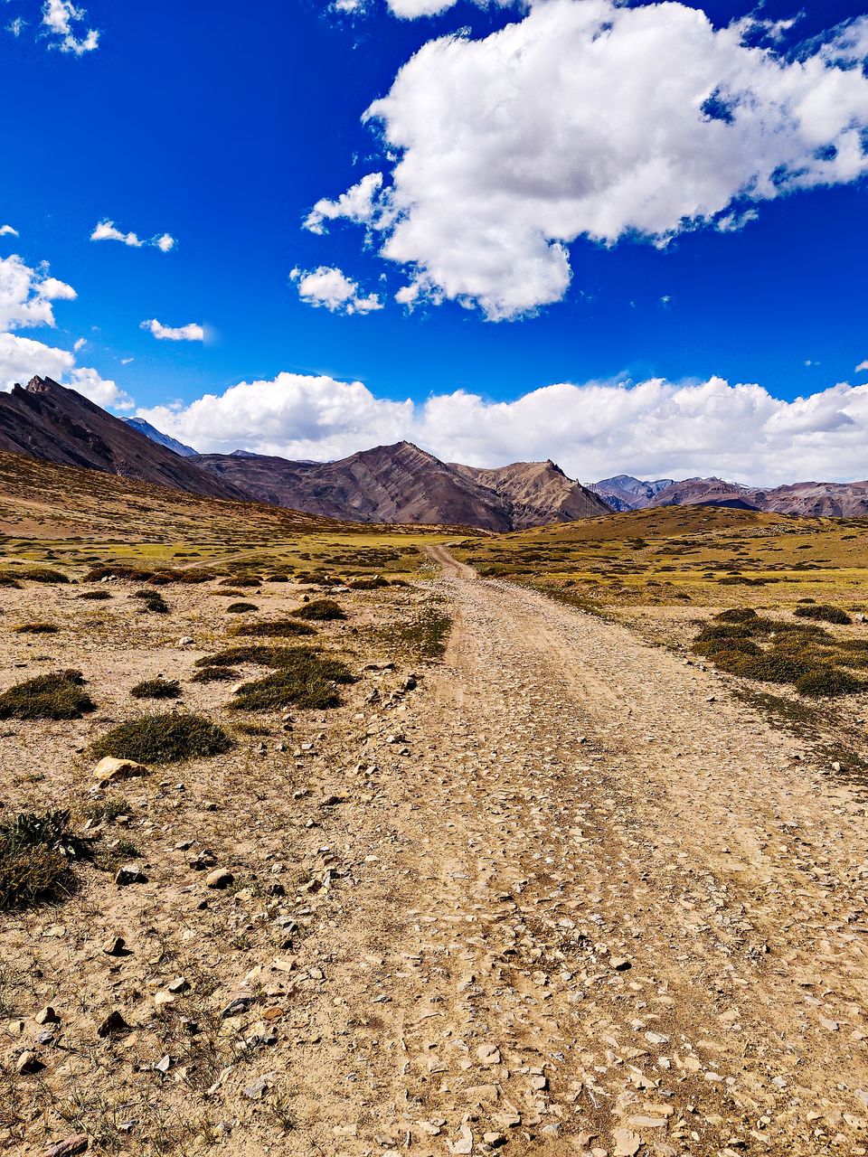 Photo of Kibber, Himachal Pradesh, India by Sukhpal Singh