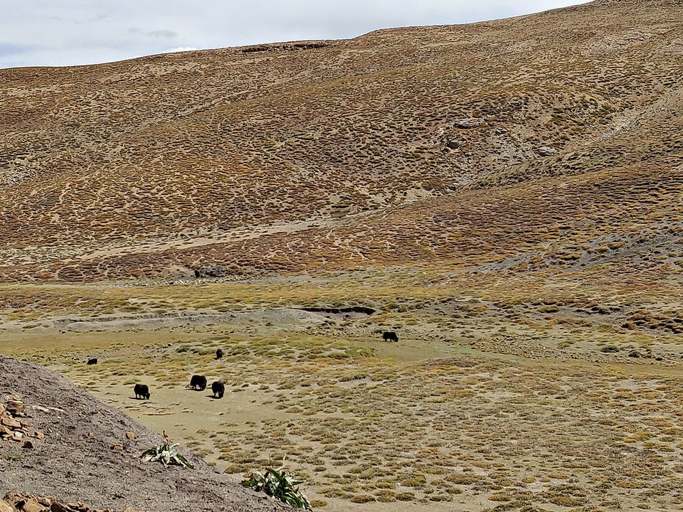Photo of Tashigong, Himachal Pradesh, India by Sukhpal Singh