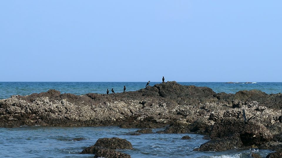 Photo of Port Blair, Andaman and Nicobar Islands, India by Sukhpal Singh