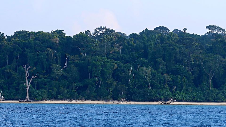Photo of Havelock Island, Andaman and Nicobar Islands by Sukhpal Singh