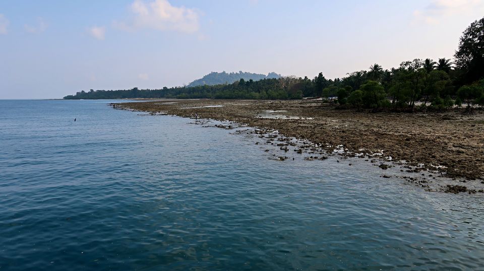 Photo of Havelock Island, Andaman and Nicobar Islands by Sukhpal Singh