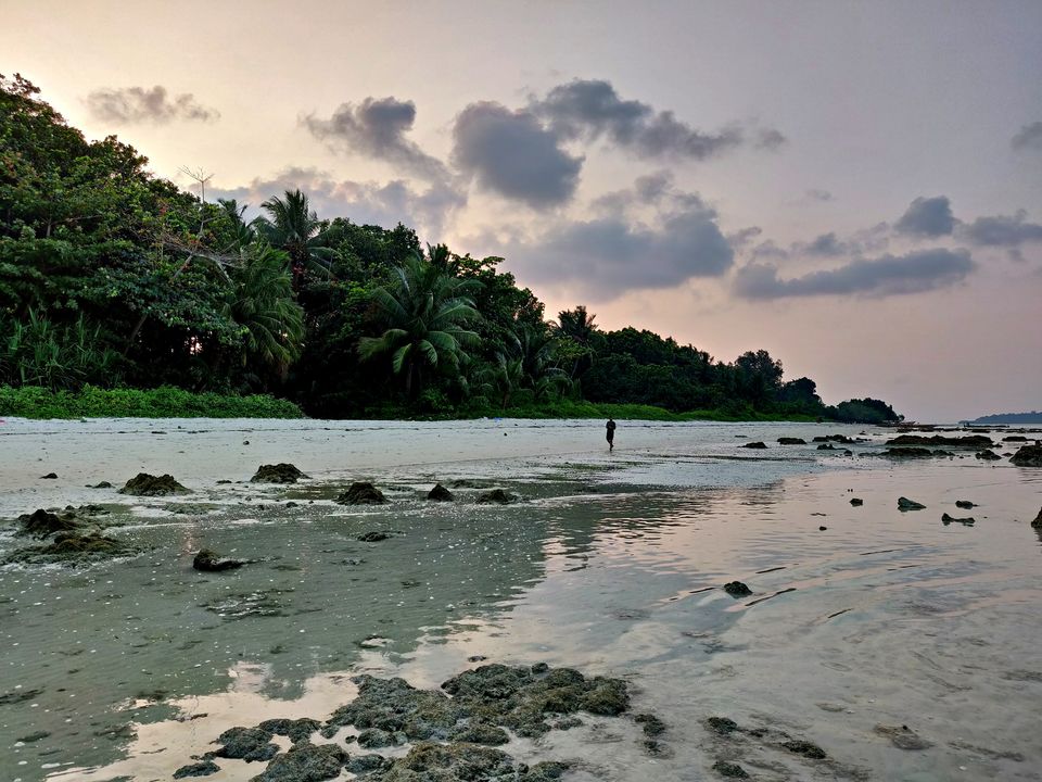 Photo of Havelock Island, Andaman and Nicobar Islands by Sukhpal Singh