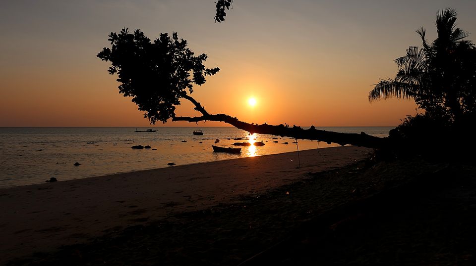 Photo of Havelock Island, Andaman and Nicobar Islands by Sukhpal Singh