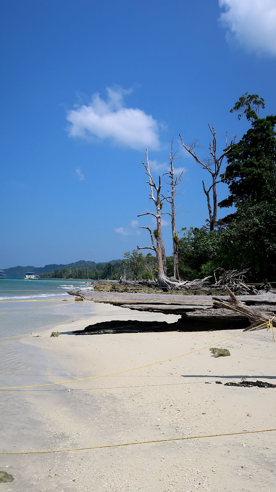 Photo of Havelock Island, Andaman and Nicobar Islands by Sukhpal Singh