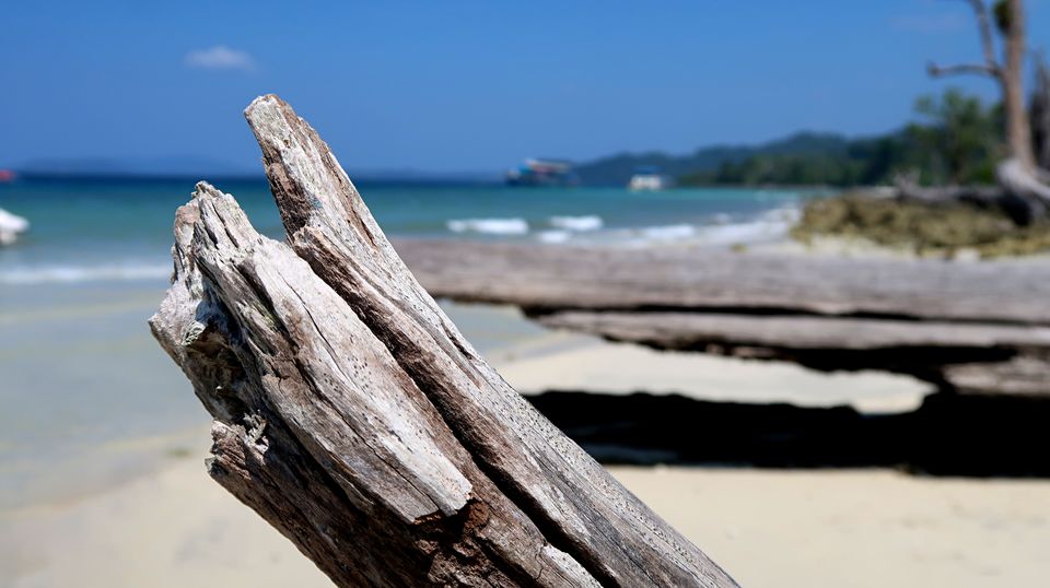 Photo of Havelock Island, Andaman and Nicobar Islands by Sukhpal Singh