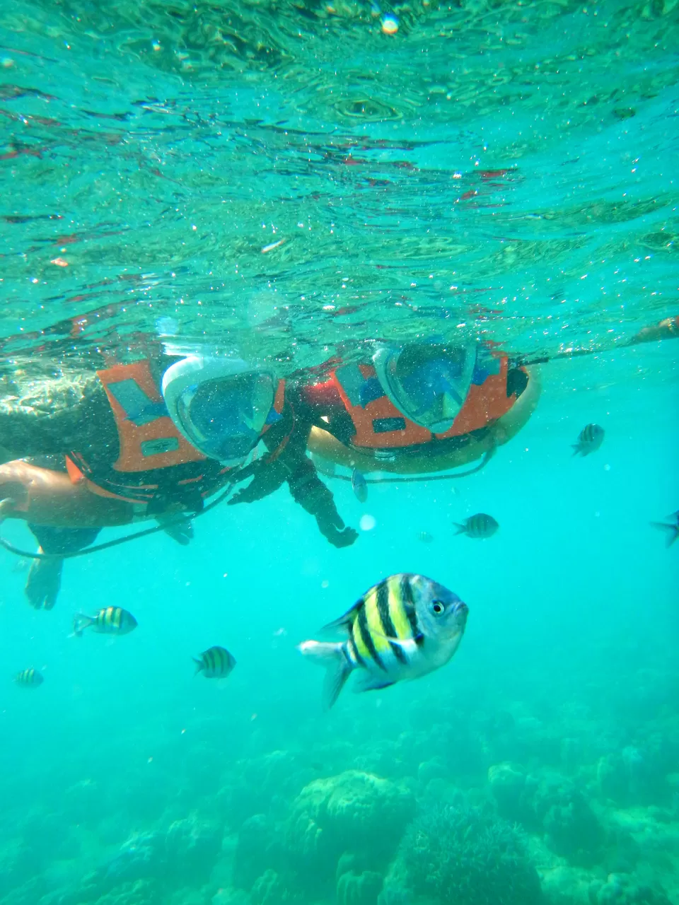Photo of Havelock Island, Andaman and Nicobar Islands by Sukhpal Singh