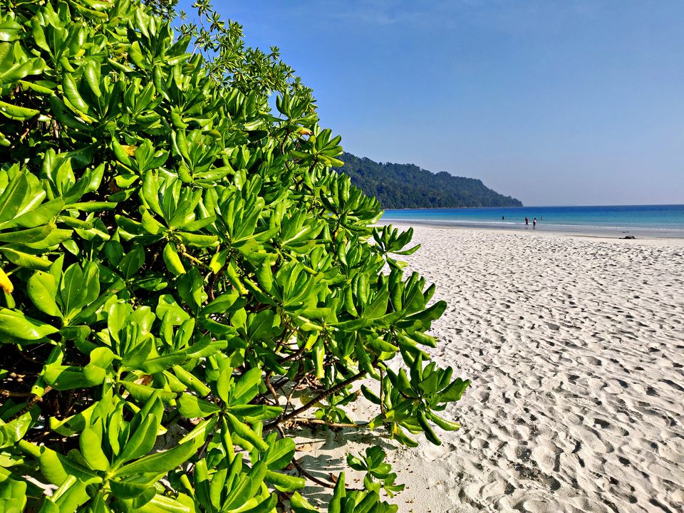 Photo of Andaman Trip - A Heavenly Paradise by Sukhpal Singh