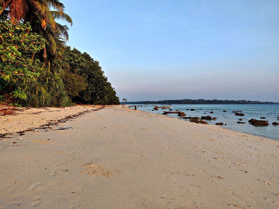 Photo of Havelock Island, Andaman and Nicobar Islands by Sukhpal Singh