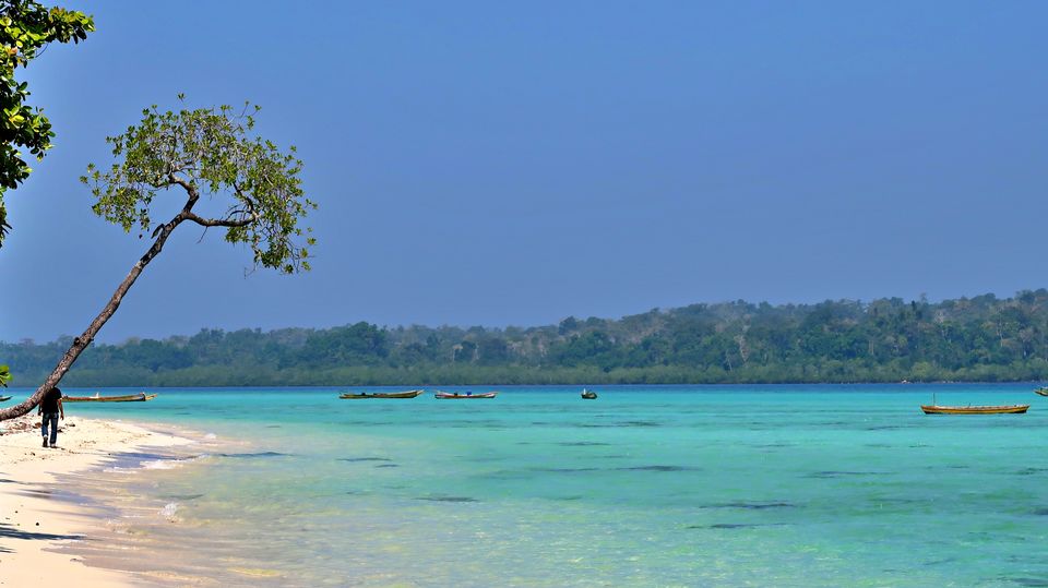 Photo of Neil Island, Andaman and Nicobar Islands by Sukhpal Singh