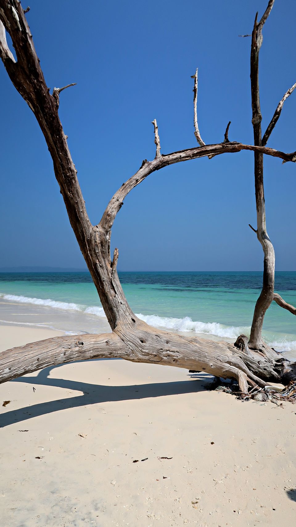 Photo of Neil Island, Andaman and Nicobar Islands by Sukhpal Singh