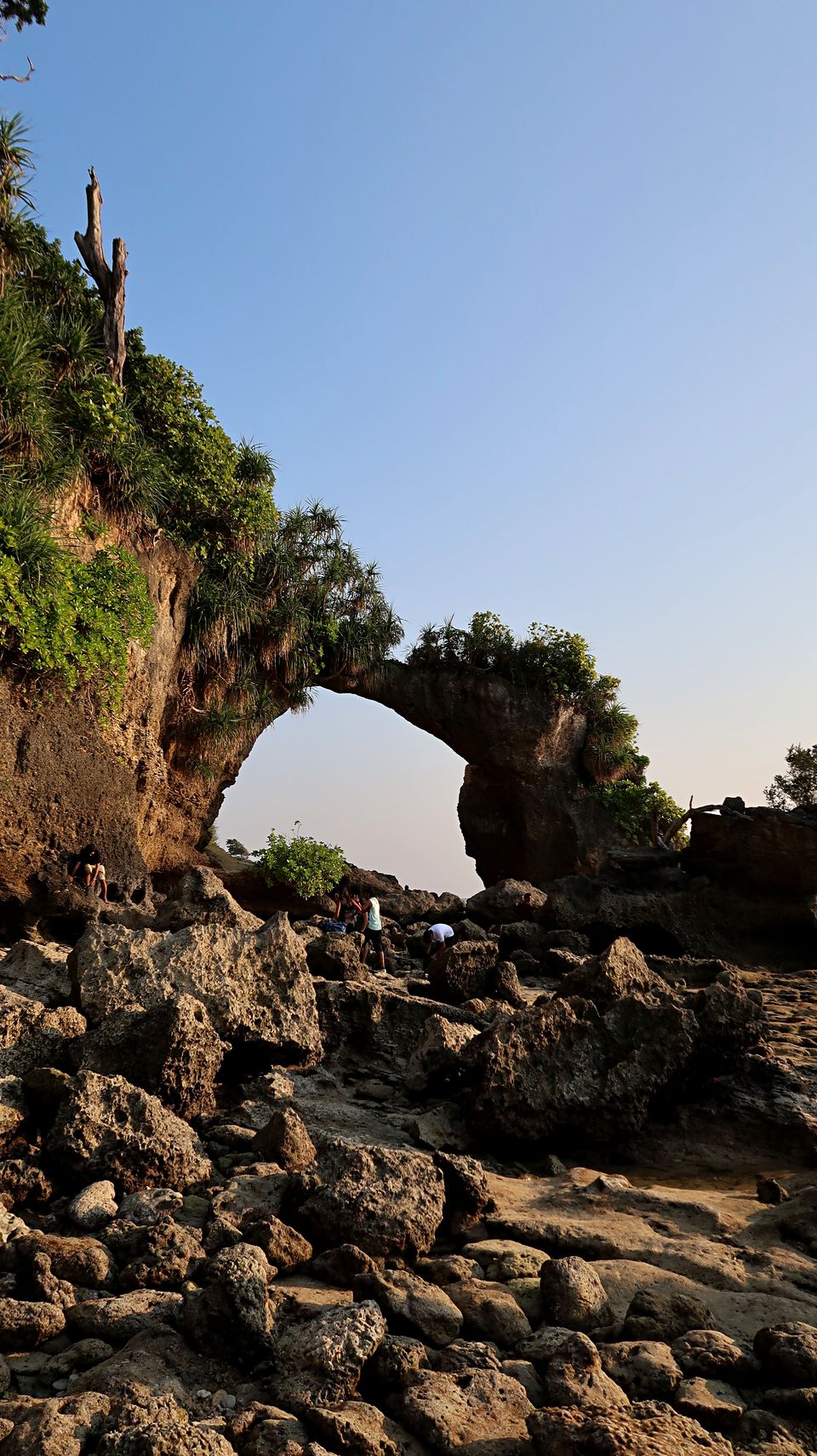Photo of Neil Island, Andaman and Nicobar Islands by Sukhpal Singh