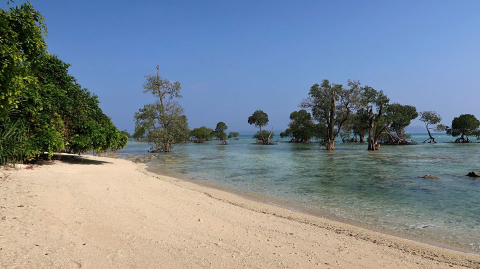 Photo of Neil Island, Andaman and Nicobar Islands by Sukhpal Singh
