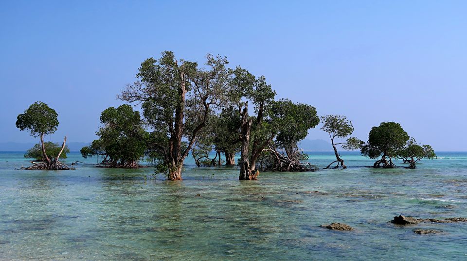 Photo of Neil Island, Andaman and Nicobar Islands by Sukhpal Singh