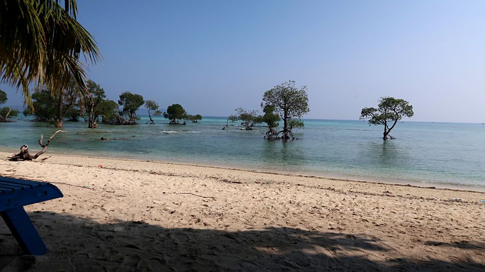 Photo of Neil Island, Andaman and Nicobar Islands by Sukhpal Singh