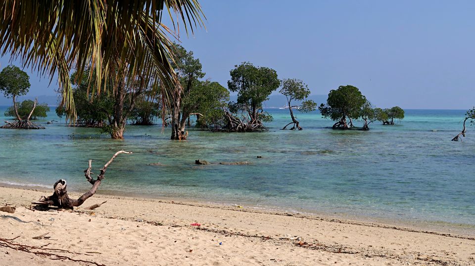 Photo of Neil Island, Andaman and Nicobar Islands by Sukhpal Singh