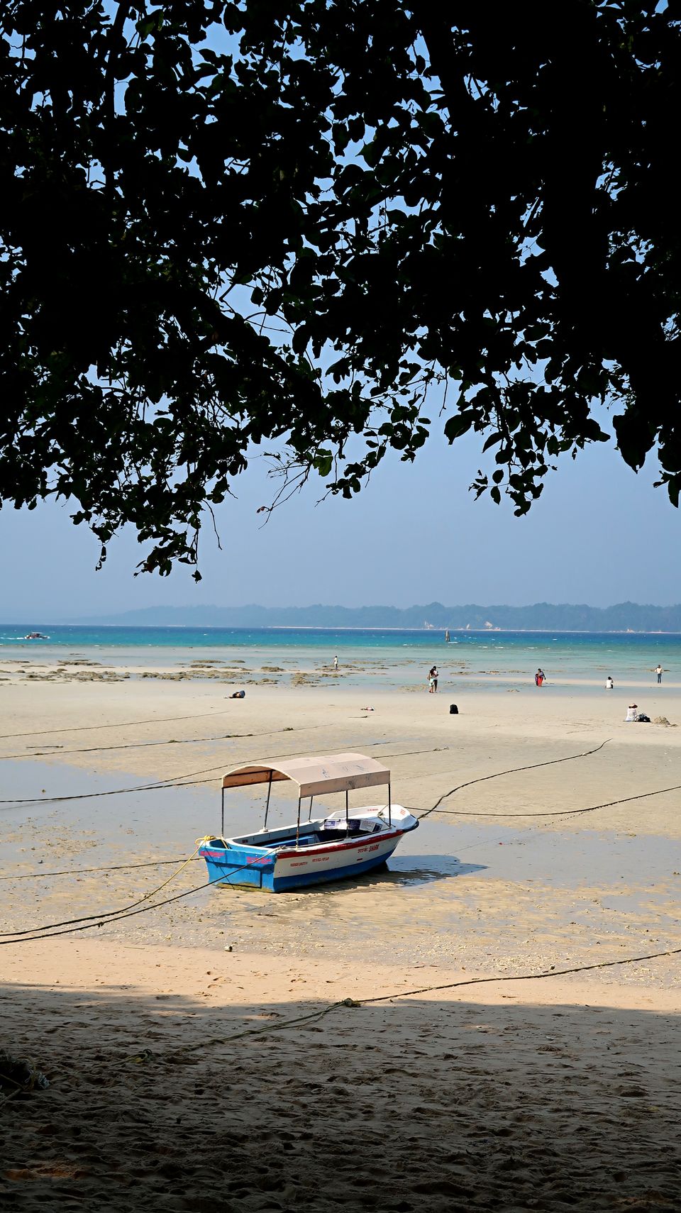 Photo of Neil Island, Andaman and Nicobar Islands by Sukhpal Singh