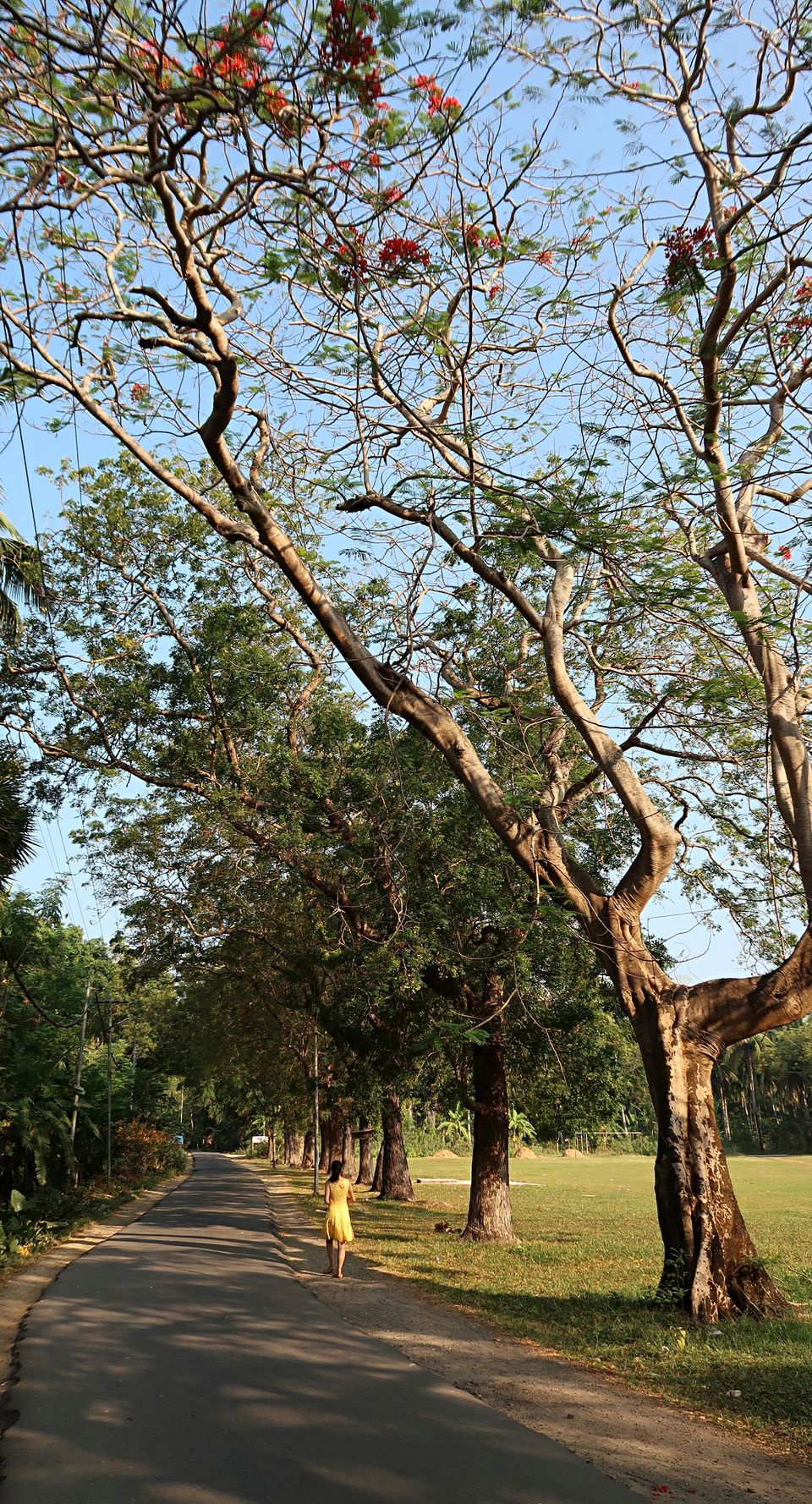 Photo of Neil Island, Andaman and Nicobar Islands by Sukhpal Singh