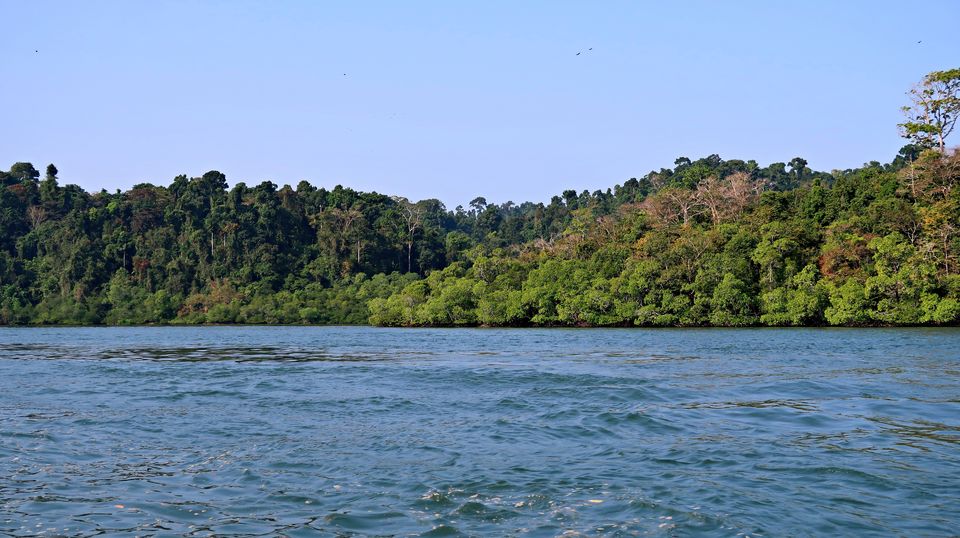Photo of Baratang, Andaman and Nicobar Islands by Sukhpal Singh
