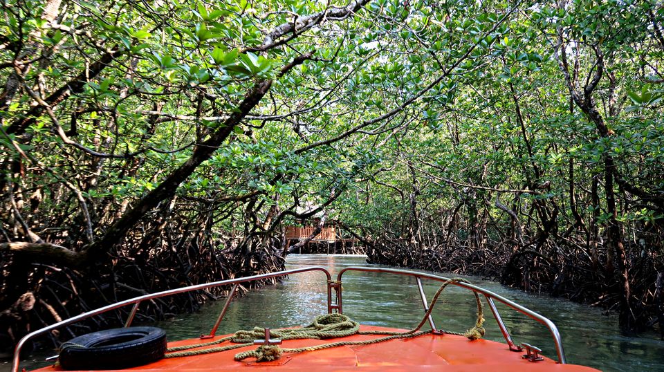 Photo of Baratang, Andaman and Nicobar Islands by Sukhpal Singh