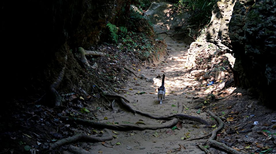 Photo of Baratang, Andaman and Nicobar Islands by Sukhpal Singh