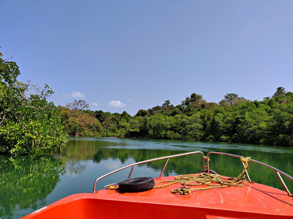 Photo of Baratang, Andaman and Nicobar Islands by Sukhpal Singh