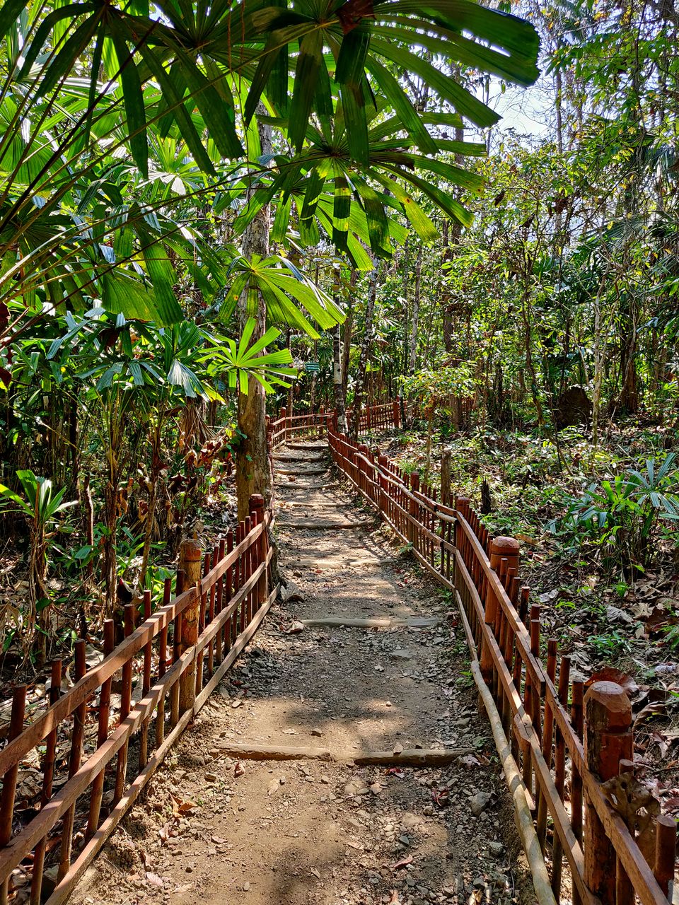 Photo of Baratang, Andaman and Nicobar Islands by Sukhpal Singh