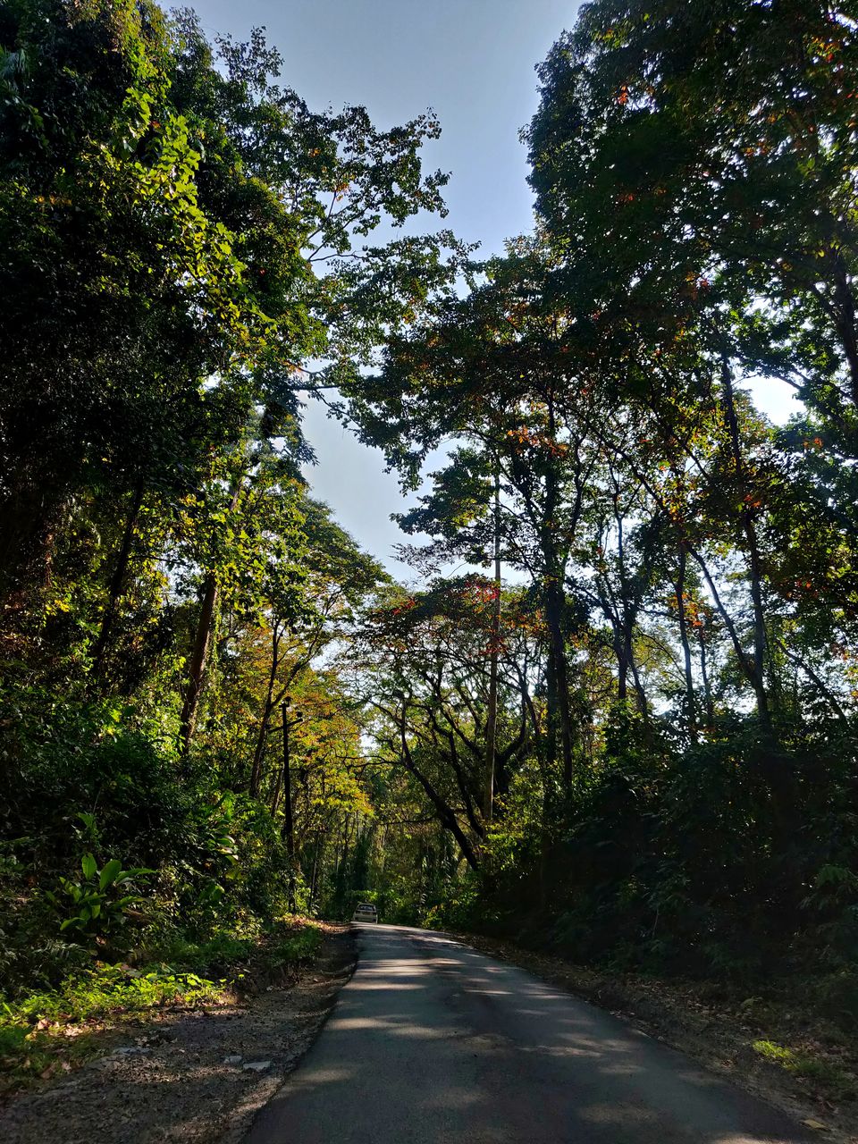 Photo of Baratang, Andaman and Nicobar Islands by Sukhpal Singh