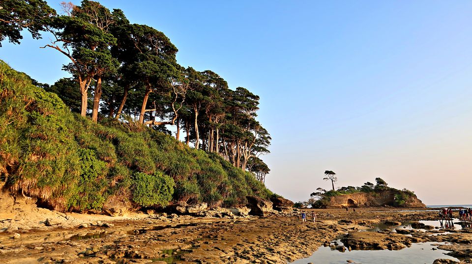 Photo of Neil Island, Andaman and Nicobar Islands by Sukhpal Singh