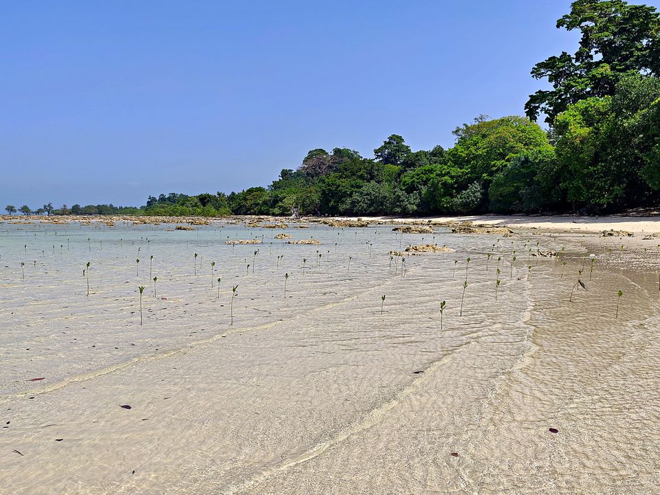 Photo of Neil Island, Andaman and Nicobar Islands by Sukhpal Singh