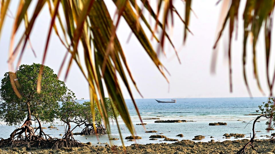 Photo of Neil Island, Andaman and Nicobar Islands by Sukhpal Singh