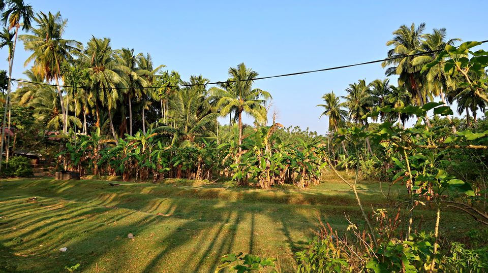 Photo of Neil Island, Andaman and Nicobar Islands by Sukhpal Singh