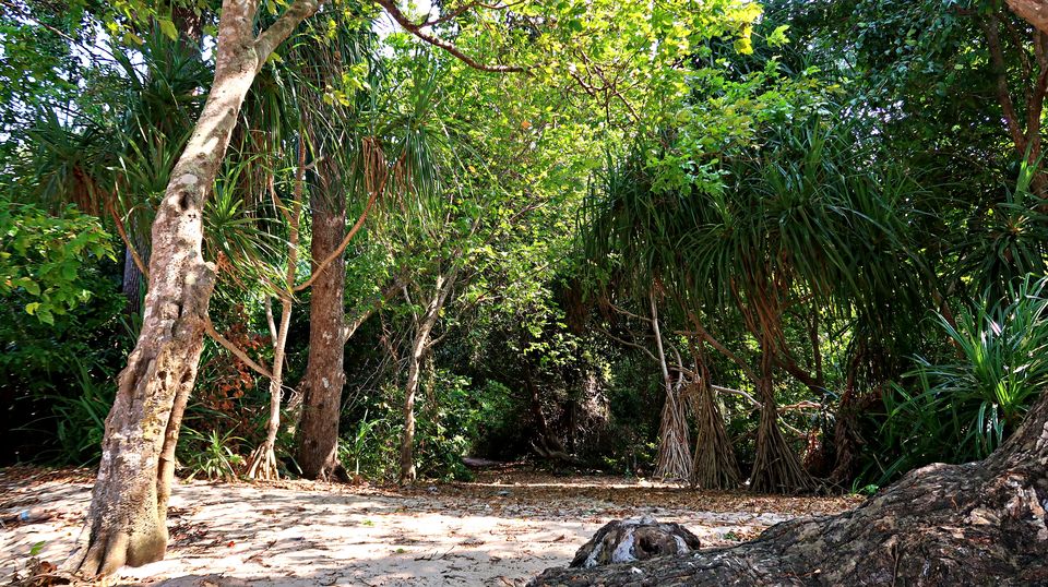 Photo of Neil Island, Andaman and Nicobar Islands by Sukhpal Singh