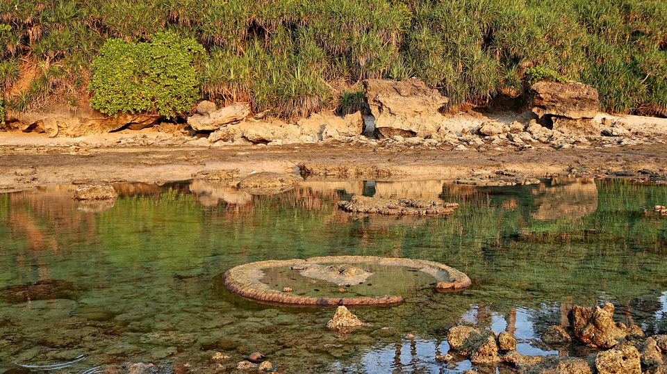 Photo of Neil Island, Andaman and Nicobar Islands by Sukhpal Singh
