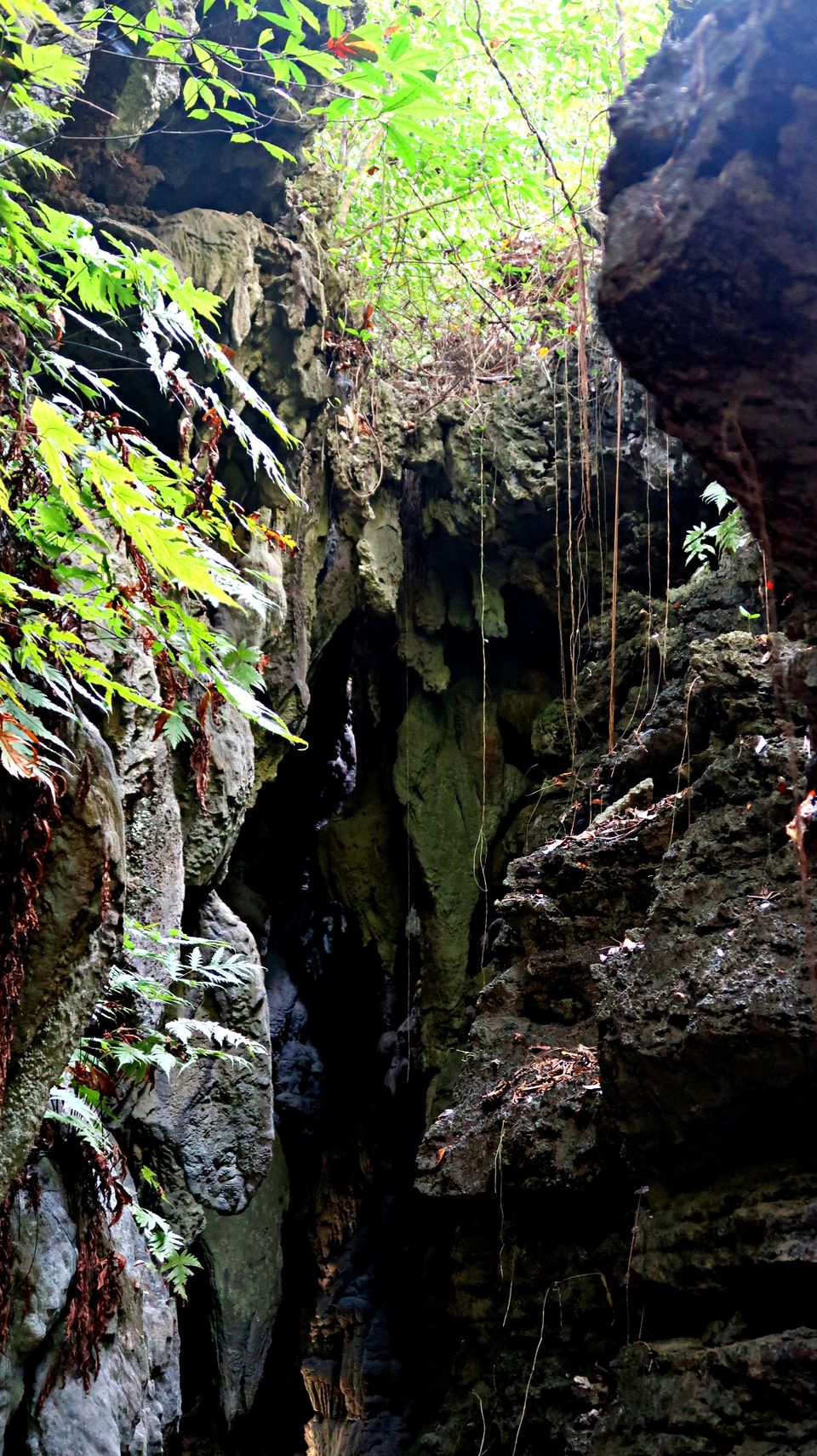 Photo of Baratang, Andaman and Nicobar Islands by Sukhpal Singh