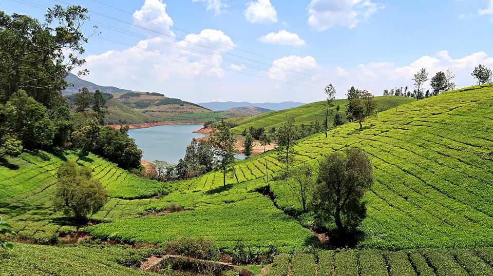 Photo of OOTY: Blessed by nature, Nurtured by British & Embraced by us by Sukhpal Singh
