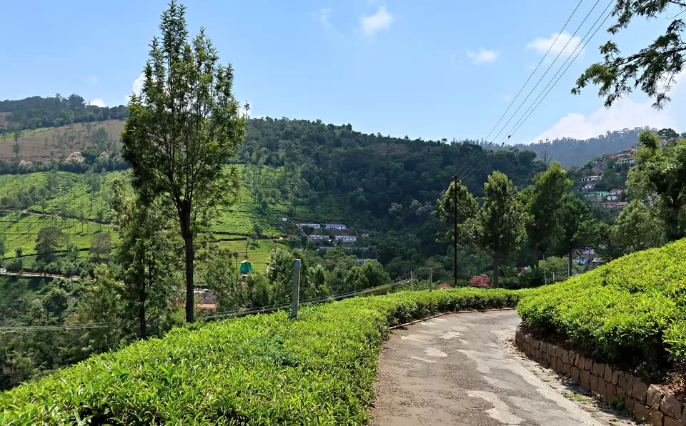Photo of Coonoor, Tamil Nadu, India by Sukhpal Singh